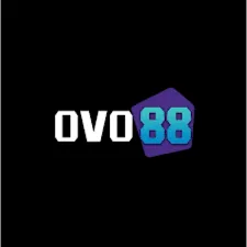 OVO88 - Aplikasi Cadangan Data Terbaik untuk HP Anda